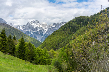 Fototapeta na wymiar Mountain landscape of the Soca Valley near Trenta in Slovenia