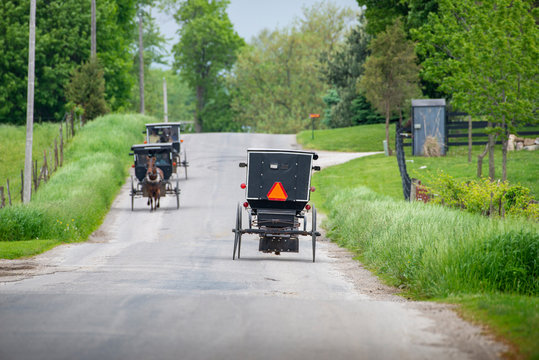 Amish Buggies on Rural Indiana Road