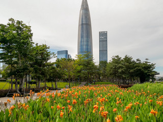 Fragment of a city park with decorative flowers in a flowerbed, Shenzhen, China