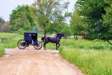 Fototapeta na wymiar Amish Buggy at Crossroads