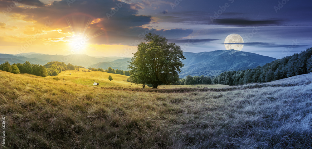 Wall mural day and night time change concept above the beech tree on the meadow in mountains. landscape with su