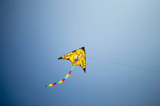 kite in the air blue sky