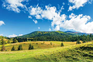 wonderful countryside in mountain. sunny weather with clouds above the ridge. grassy meadows and...