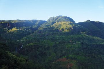 Fototapeta na wymiar Mountain green landscape with beautiful views of the tropical island of Sri Lanka in summer.