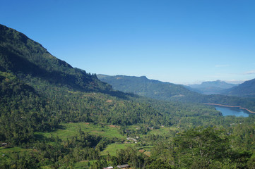 Fototapeta na wymiar Mountain green landscape with beautiful views of the tropical island of Sri Lanka in summer.