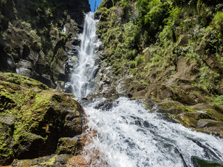 Fototapeta premium Trafalgar Falls Views around the caribbean island of Dominica West indies