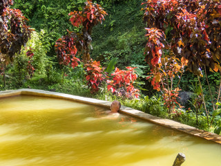  Hot sulpher Spring - Views around the caribbean island of Dominica West indies