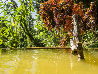  Hot sulpher Spring - Views around the caribbean island of Dominica West indies