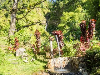  Hot sulpher Spring - Views around the caribbean island of Dominica West indies
