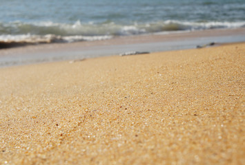 Sand closeup on the shore on the tropical island of Sri Lanka in summer.