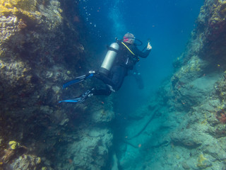 Naklejka na ściany i meble Snorkelling off Scotts Head Views around the caribbean island of Dominica West indies