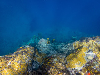  Snorkelling off Scotts Head Views around the caribbean island of Dominica West indies