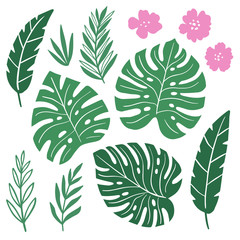 Set of hand drawn tropical exotic plants leaves and flowers of hibiscus isolated on white background. Vector illustration