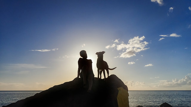  Views Around The Caribbean Island Of Dominica West Indies