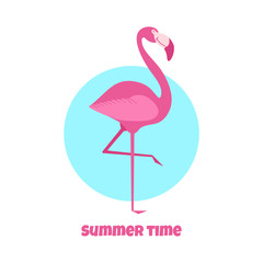 Cartoon poster with smiling pink flamingo with blue circle on background. Flat vector illustration.