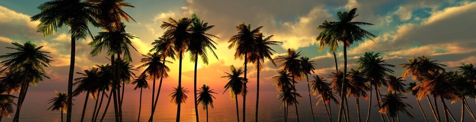 Obraz premium palm trees at sunset, panorama of the beach with palm trees at sunrise