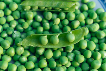 fresh green peas in a pod