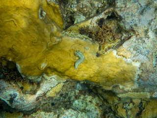  Views around the caribbean island of Dominica West indies