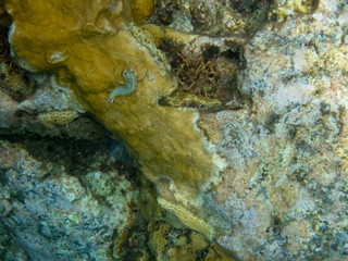  Views around the caribbean island of Dominica West indies