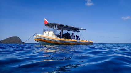 snorkelling Views around the caribbean island of Dominica West indies