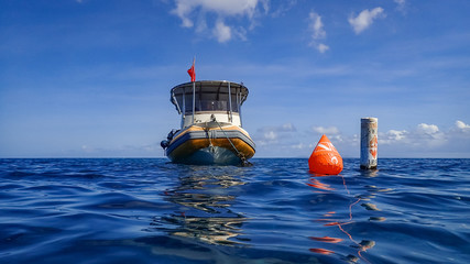 snorkelling Views around the caribbean island of Dominica West indies