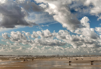 Big clouds above Baltic sea after stormy day, Liepaja, Latvia
