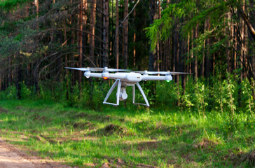 drone flies through the summer forest