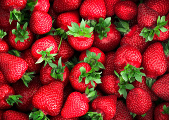 Background of ripe strawberries. Close up.