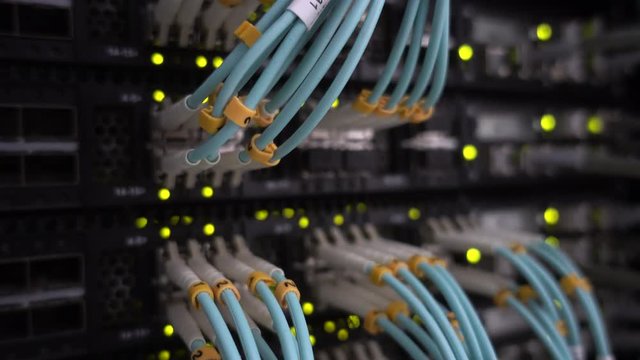 Blue optical cable close up. Work server.