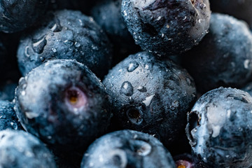 macro photo of fresh blueberry with water drops on its