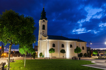 Fototapeta na wymiar St. Ladislau Church in Oradea