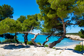 Crystal clear blue Mediterranean sea water on St.Croix Martigues beach and mediterranean pine trees, Provence, France - obrazy, fototapety, plakaty