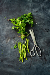 culinary scissors and sliced or chopped in small pieces roped herbs or greenery on the dark surface flat lays