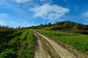 Fototapeta na wymiar country road in the field