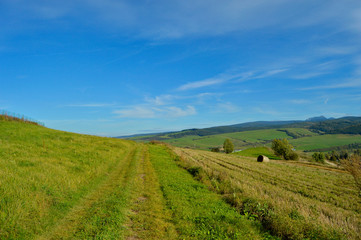 Fototapeta premium country road near to the field with trees