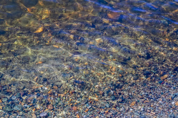 River water surface texture on a sunny day.