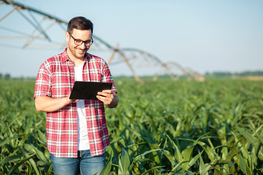 Happy young farmer or agronomist in red checkered shirt using tablet in corn field. Irrigation system in the background. Organic farming and food production
