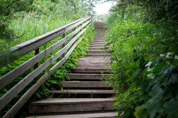 Fototapeta na wymiar descent old wooden stairs grass