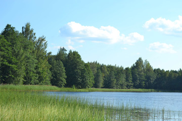lake in forest