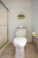 Fototapeta na wymiar Toilet beside the shower stall inside the bathroom of a home