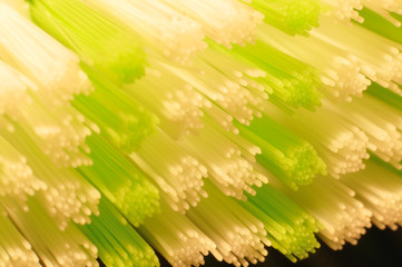white and green plastic bristles of a toothbrush