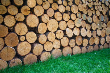 Firewood stacked and prepared for winter. Pile of wood logs. Chopped firewood on a stack.