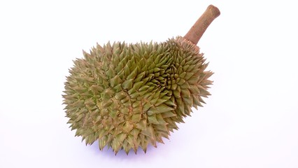 durian fruit isolated on white background