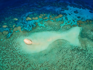 The big sandy cay in form of a fish at Wheeler Reef, Great Barrier Reef, Queensland, Australia
