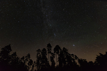 Fototapeta premium Meteor shower with the milky way