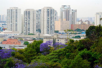 Obraz premium São Paulo