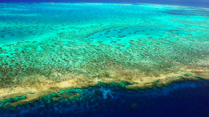 From the reef crust to the shallow lagoon (Lodestone Reef, Great Barrier Reef, Australia)