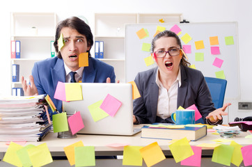 Two colleagues employees working in the office 