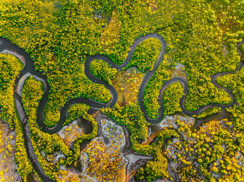 Creek meandering between the mangroves from straight above