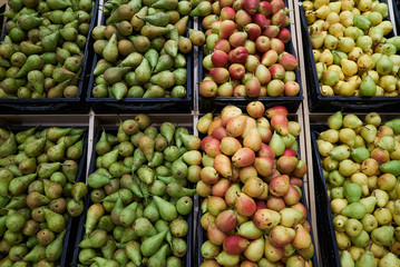 Pear fruit background, close-up. Healthy diet food. Agriculture concept
